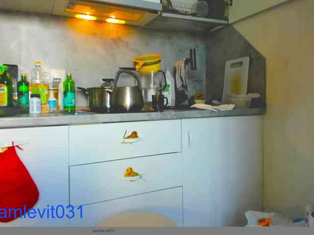 office_online_ webcam