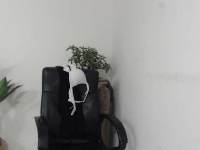 Keyla-Ruiz's BongaCams show and profile