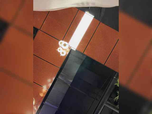 __Sy4ka webcam