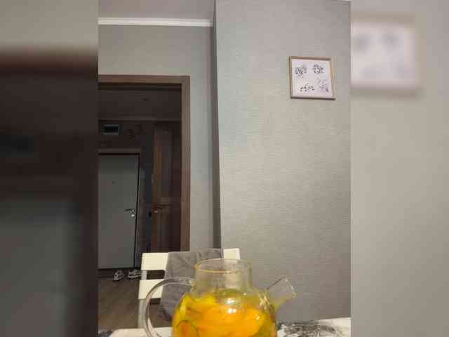 _Katrinka_ webcam