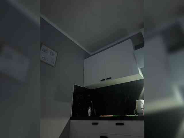 _Katrinka_ webcam