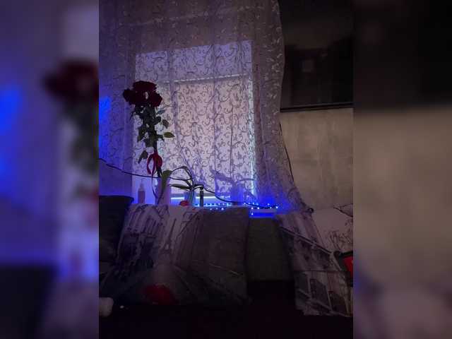 _dashulka_