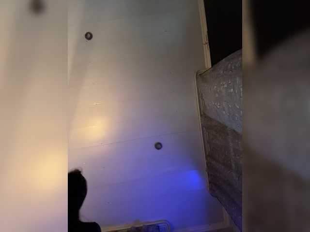 _dashulka_