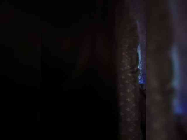 _dashulka_ webcam