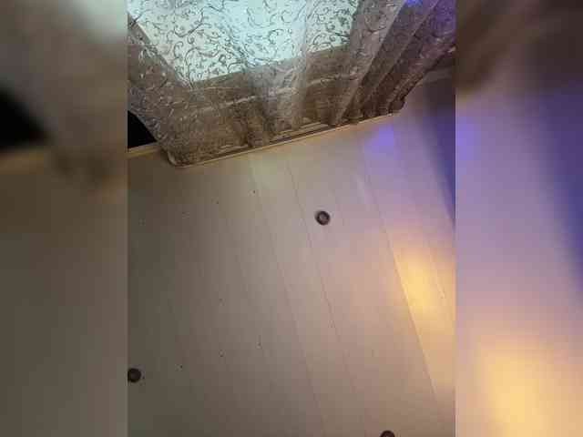 _dashulka_ webcam