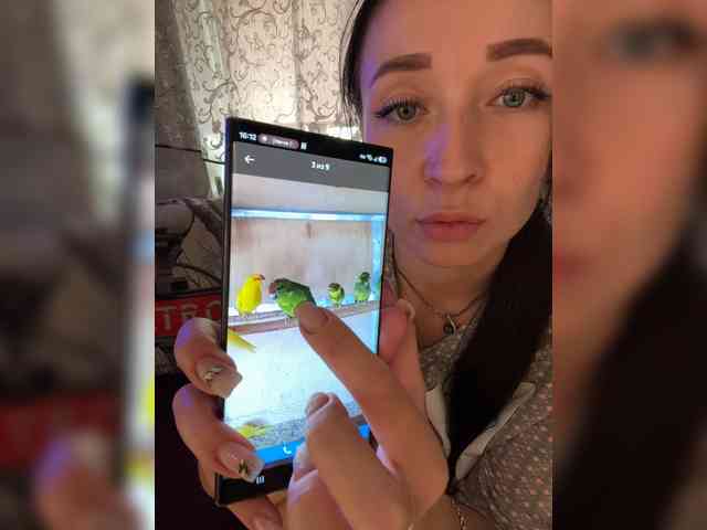 _dashulka_ webcam