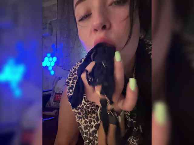 _dashulka_ webcam