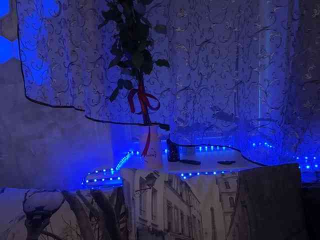 _dashulka_ webcam