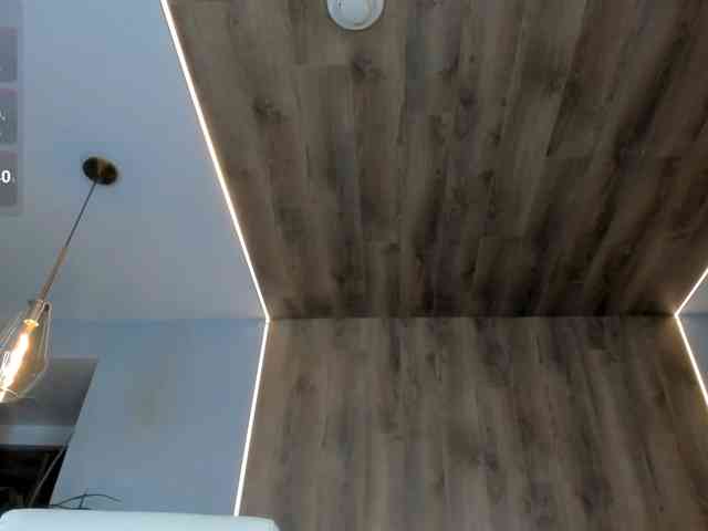 NiaHolland webcam