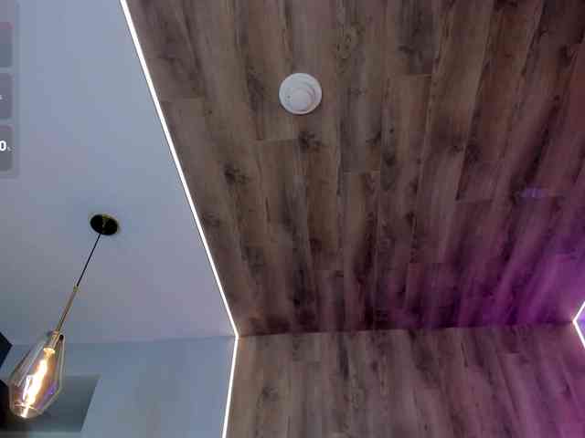 NiaHolland webcam