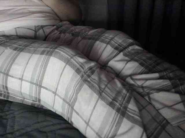 Lyanat webcam