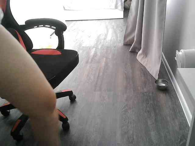 Lyanat webcam