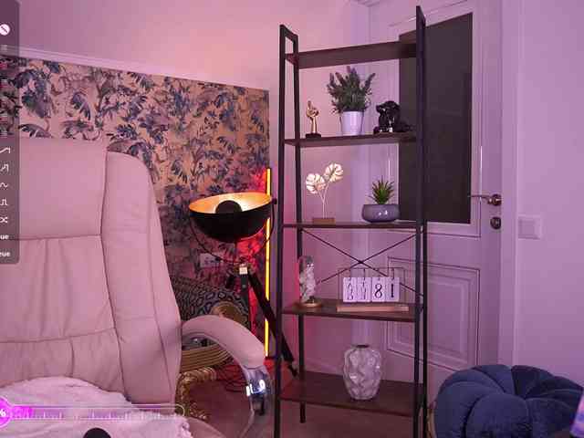 MadissonSoft webcam