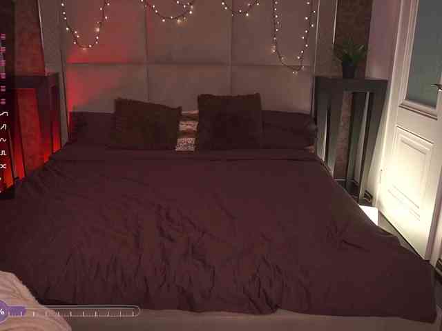 MadissonSoft webcam