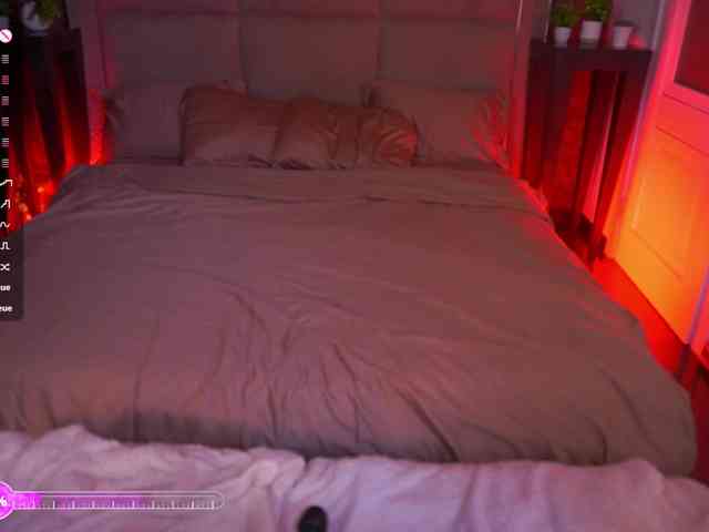MadissonSoft webcam