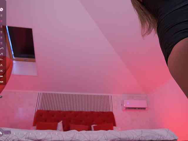 MadissonSoft webcam