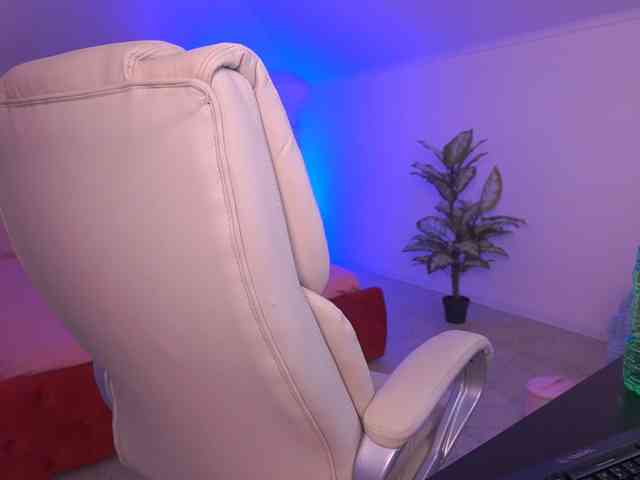 MadissonSoft webcam
