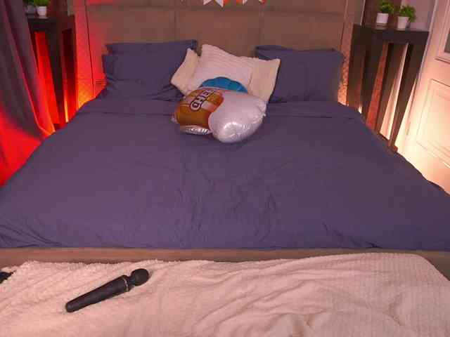 MadissonSoft webcam