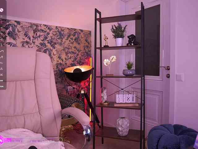 MadissonSoft webcam