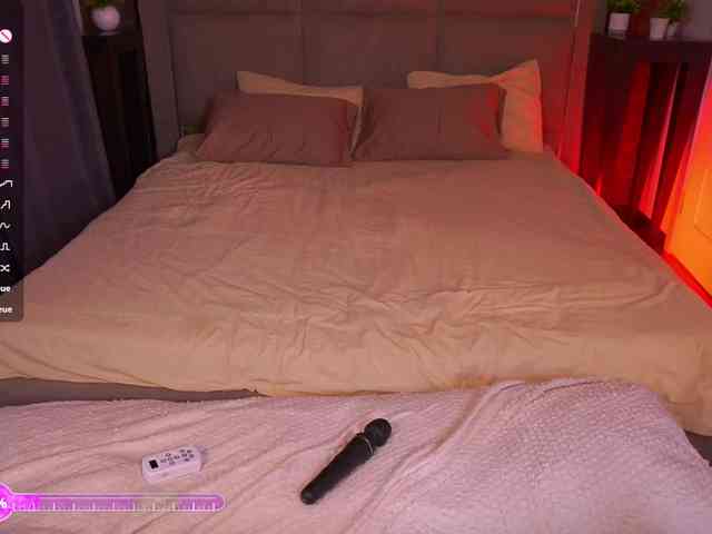 MadissonSoft webcam