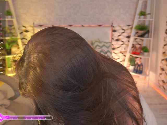 MadissonSoft webcam