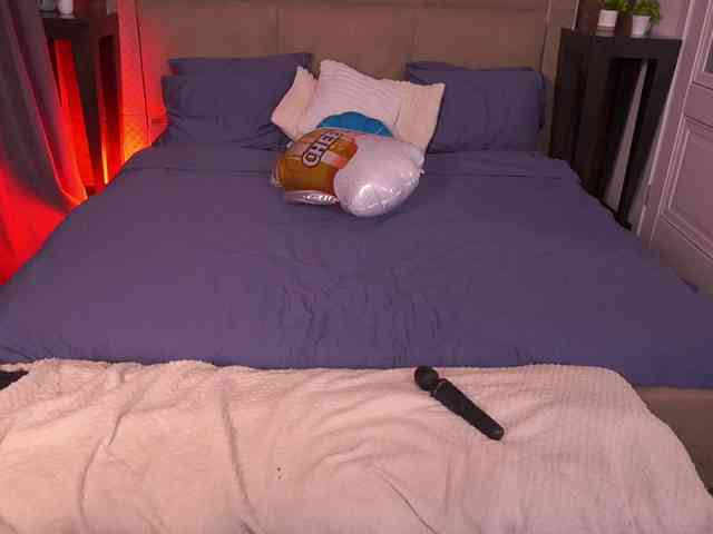 MadissonSoft webcam