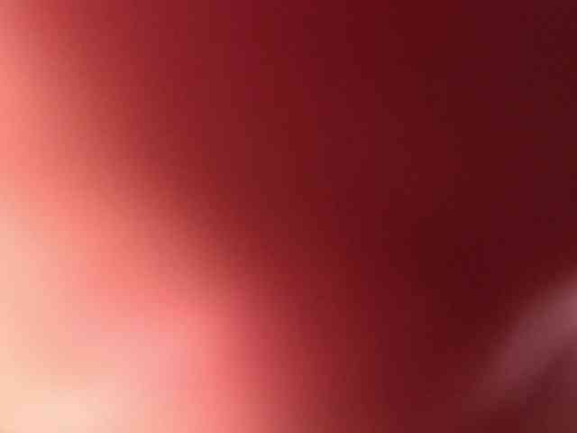 CherryAndAndy webcam