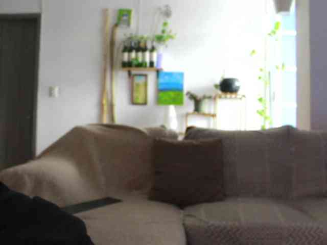 CherryAndAndy webcam