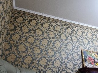 Smalldickshater Porn Show