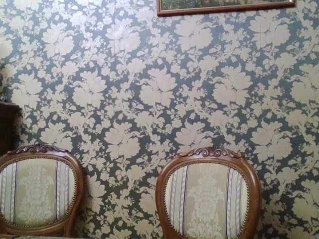 Boginechka's BongaCams show and profile