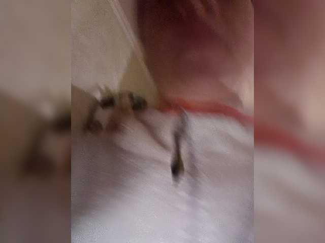 Boginechka live cam