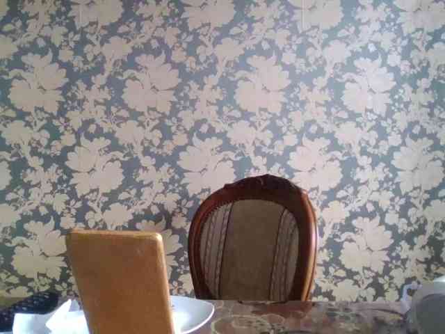 Smalldickshater webcam