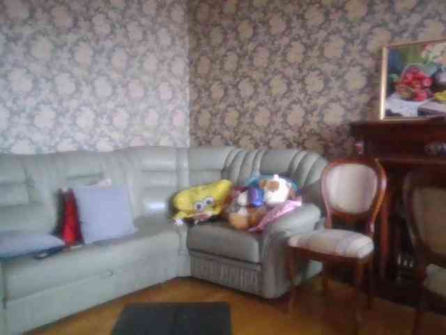 Smalldickshater webcam