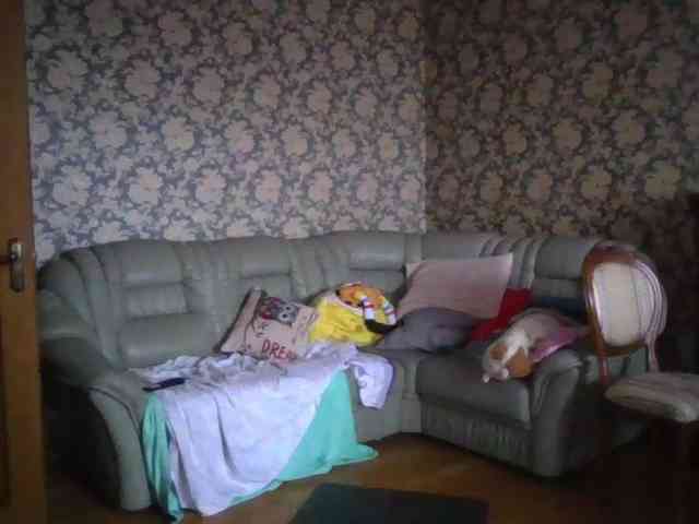 Smalldickshater webcam