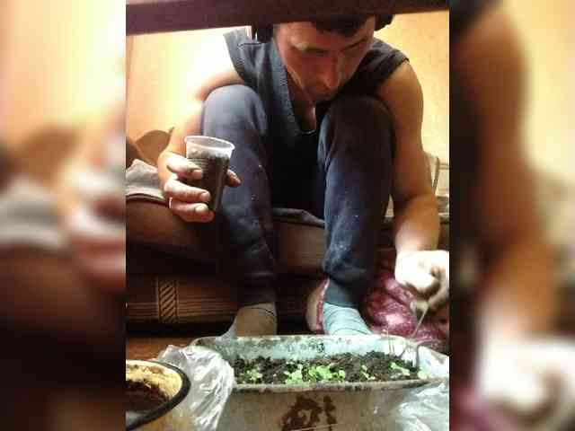 ___--BOYYVYNGGG--___