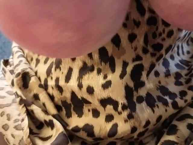 BlondieGirl
