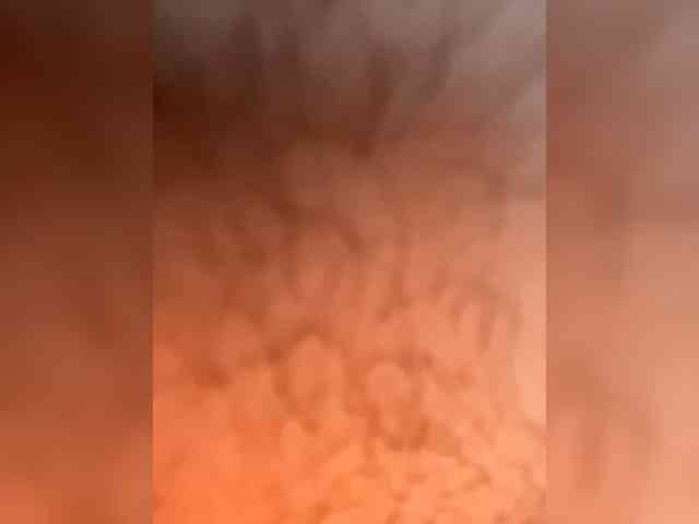 SVWQX webcam