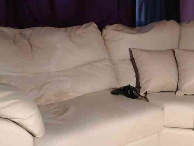 SquirtyMOMMY's webcam live show