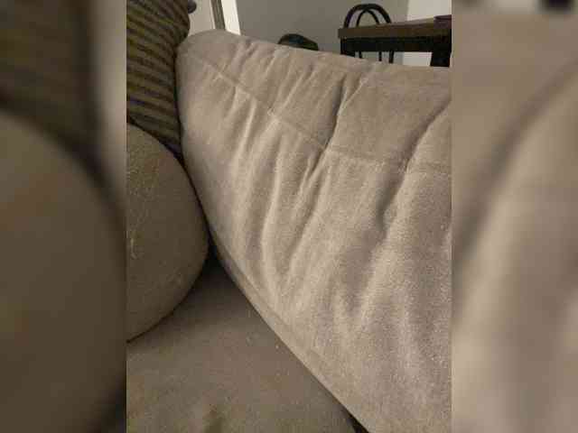 FurElisse webcam