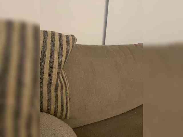 FurElisse webcam