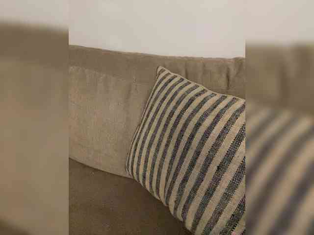 FurElisse webcam