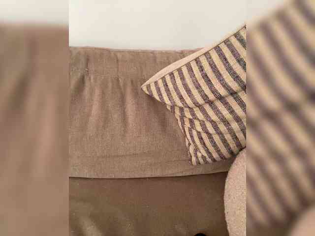 FurElisse webcam