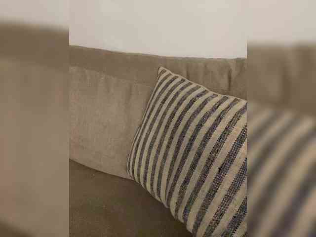 FurElisse webcam