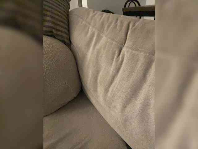 FurElisse webcam