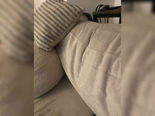 FurElisse webcam