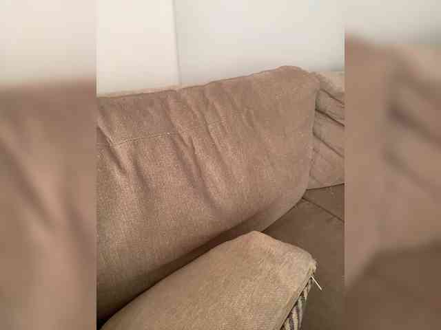 FurElisse webcam