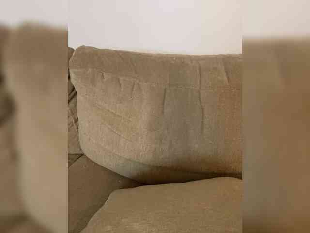 FurElisse webcam