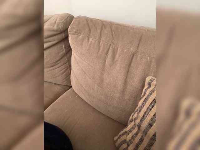 FurElisse webcam