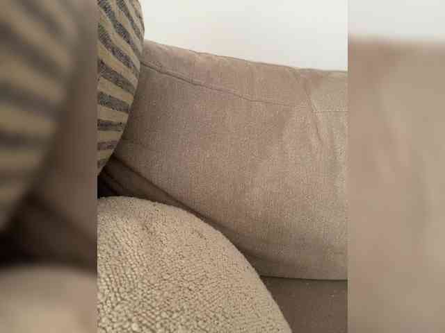 FurElisse webcam