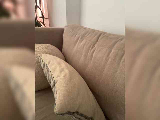 FurElisse webcam